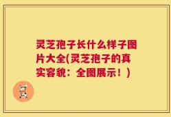 灵芝孢子长什么样子图片大全(灵芝孢子的真实容貌：全图展示！)
