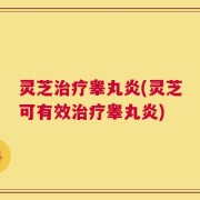 灵芝治疗睾丸炎(灵芝可有效治疗睾丸炎)