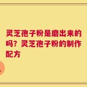 灵芝孢子粉是磨出来的吗？灵芝孢子粉的制作配方