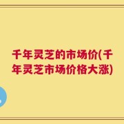 千年灵芝的市场价(千年灵芝市场价格大涨)