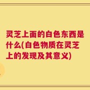 灵芝上面的白色东西是什么(白色物质在灵芝上的发现及其意义)