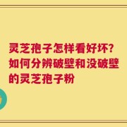灵芝孢子怎样看好坏？如何分辨破壁和没破壁的灵芝孢子粉