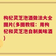 枸杞灵芝泡酒做法大全图片(多图教程：用枸杞和灵芝泡自制美味酒)