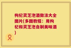 枸杞灵芝泡酒做法大全图片(多图教程：用枸杞和灵芝泡自制美味酒)