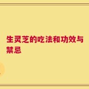 生灵芝的吃法和功效与禁忌