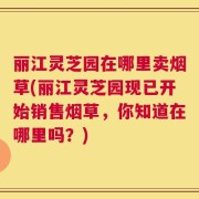 丽江灵芝园在哪里卖烟草(丽江灵芝园现已开始销售烟草，你知道在哪里吗？)