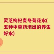 灵芝枸杞麦冬菊花水(五种中草药泡出的养生好水)