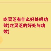 吃灵芝有什么好处吗功效(吃灵芝的好处与功效)