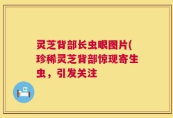 灵芝背部长虫眼图片(珍稀灵芝背部惊现寄生虫，引发关注