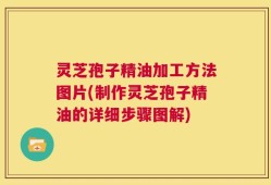 灵芝孢子精油加工方法图片(制作灵芝孢子精油的详细步骤图解)