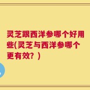 灵芝跟西洋参哪个好用些(灵芝与西洋参哪个更有效？)