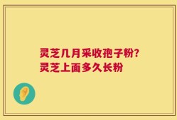 灵芝几月采收孢子粉？灵芝上面多久长粉