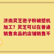 济南灵芝孢子粉破壁机加工？灵芝可以在普通销售食品的店铺销售不