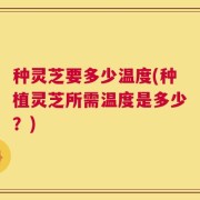 种灵芝要多少温度(种植灵芝所需温度是多少？)