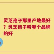 灵芝孢子那里产地最好？灵芝孢子粉哪个品牌的好