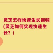 灵芝怎样快速生长视频(灵芝如何实现快速生长？)