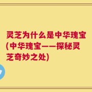 灵芝为什么是中华瑰宝(中华瑰宝——探秘灵芝奇妙之处)
