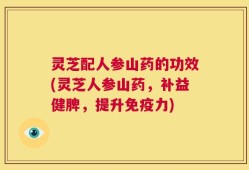 灵芝配人参山药的功效(灵芝人参山药，补益健脾，提升免疫力)