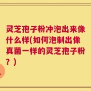 灵芝孢子粉冲泡出来像什么样(如何泡制出像真菌一样的灵芝孢子粉？)