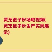 灵芝孢子粉场地视频(灵芝孢子粉生产实景展示)