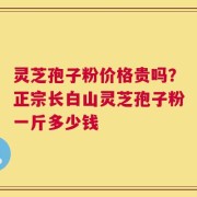 灵芝孢子粉价格贵吗？正宗长白山灵芝孢子粉一斤多少钱