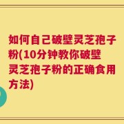 如何自己破壁灵芝孢子粉(10分钟教你破壁灵芝孢子粉的正确食用方法)