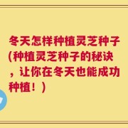 冬天怎样种植灵芝种子(种植灵芝种子的秘诀，让你在冬天也能成功种植！)