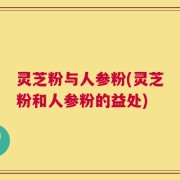 灵芝粉与人参粉(灵芝粉和人参粉的益处)
