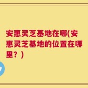 安惠灵芝基地在哪(安惠灵芝基地的位置在哪里？)