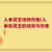 人参灵芝功效作用(人参和灵芝的功效与作用)