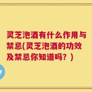 灵芝泡酒有什么作用与禁忌(灵芝泡酒的功效及禁忌你知道吗？)