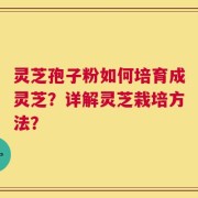 灵芝孢子粉如何培育成灵芝？详解灵芝栽培方法？