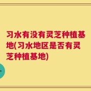 习水有没有灵芝种植基地(习水地区是否有灵芝种植基地)