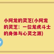 小阿龙的灵芝(小阿龙的灵芝：一位龙虎斗士的身体与心灵之源)