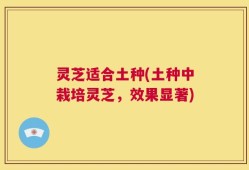 灵芝适合土种(土种中栽培灵芝，效果显著)