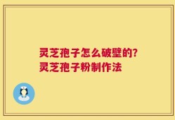 灵芝孢子怎么破壁的？灵芝孢子粉制作法