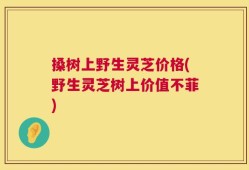 搡树上野生灵芝价格(野生灵芝树上价值不菲)