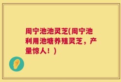 周宁池池灵芝(周宁池利用池塘养殖灵芝，产量惊人！)
