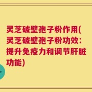 灵芝破壁孢子粉作用(灵芝破壁孢子粉功效：提升免疫力和调节肝脏功能)
