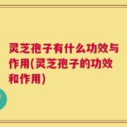 灵芝孢子有什么功效与作用(灵芝孢子的功效和作用)
