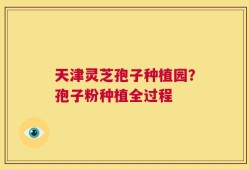 天津灵芝孢子种植园？孢子粉种植全过程