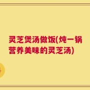 灵芝煲汤做饭(炖一锅营养美味的灵芝汤)