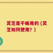 灵芝是干嘛用的 (灵芝如何使用？)