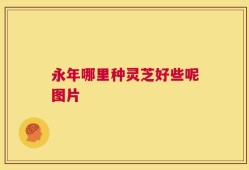 永年哪里种灵芝好些呢图片