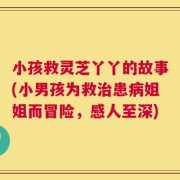 小孩救灵芝丫丫的故事(小男孩为救治患病姐姐而冒险，感人至深)