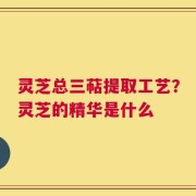 灵芝总三萜提取工艺？灵芝的精华是什么