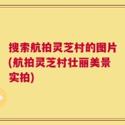 搜索航拍灵芝村的图片(航拍灵芝村壮丽美景实拍)