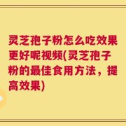 灵芝孢子粉怎么吃效果更好呢视频(灵芝孢子粉的最佳食用方法，提高效果)