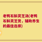 老鸭石斛灵芝汤(老鸭石斛灵芝煲，辅助养生的最佳选择)