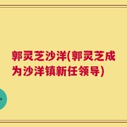 郭灵芝沙洋(郭灵芝成为沙洋镇新任领导)
